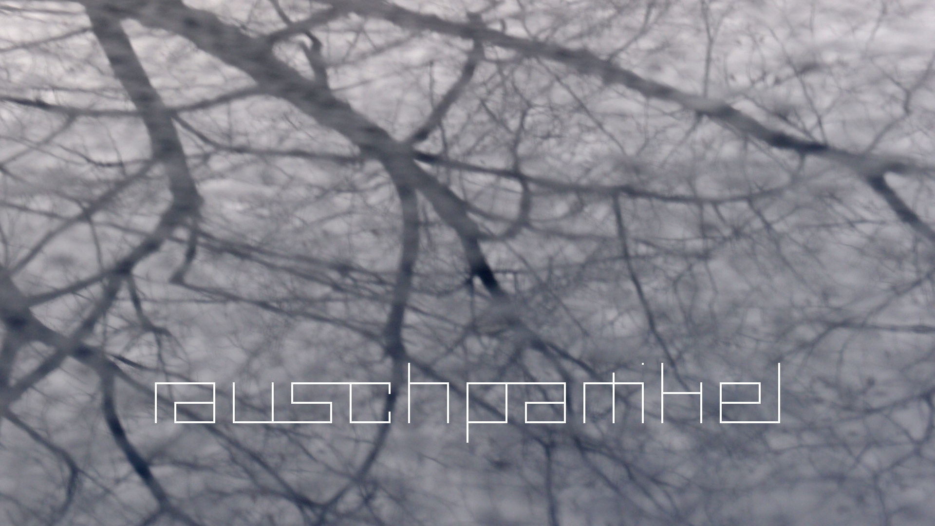 2021-01-06 - 08 Kühlgeträt (On/Off) (Remix John Cage - Empty Words IV)